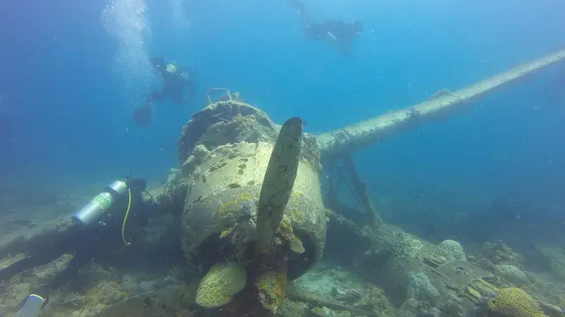Key West Shipwrecks and the Wrecking Industry That Built Bone Island