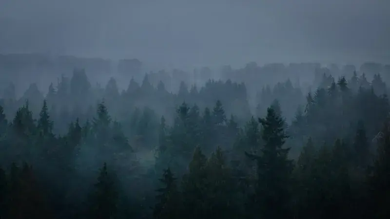 Twilight and the Vampire Renaissance in Pop Culture