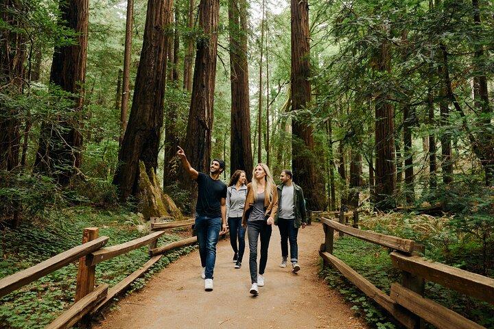 San Francisco, Muir Woods, Sausalito and optional Alcatraz tour