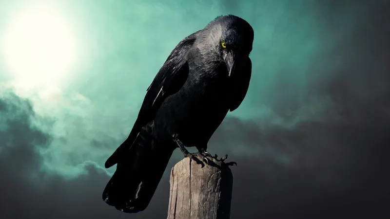 The Ravens of the Tower of London: Legend, History, and Superstition