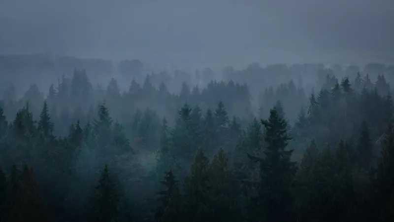 Twilight and the Vampire Renaissance in Pop Culture